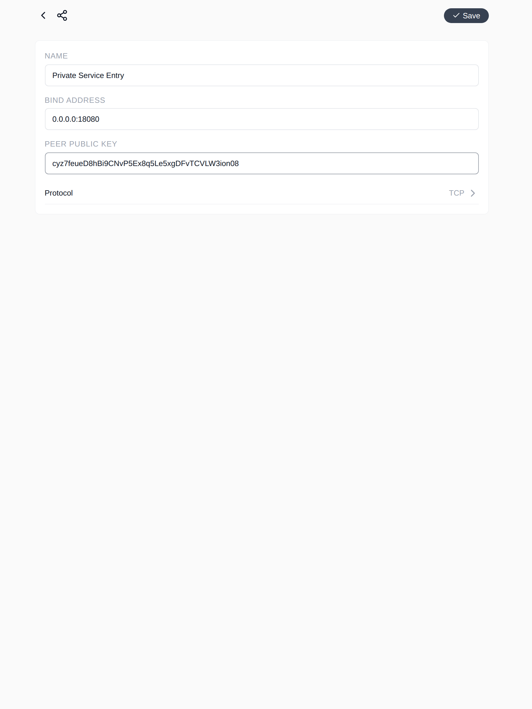 P2P entrypoint: listen address, peer key, and protocol