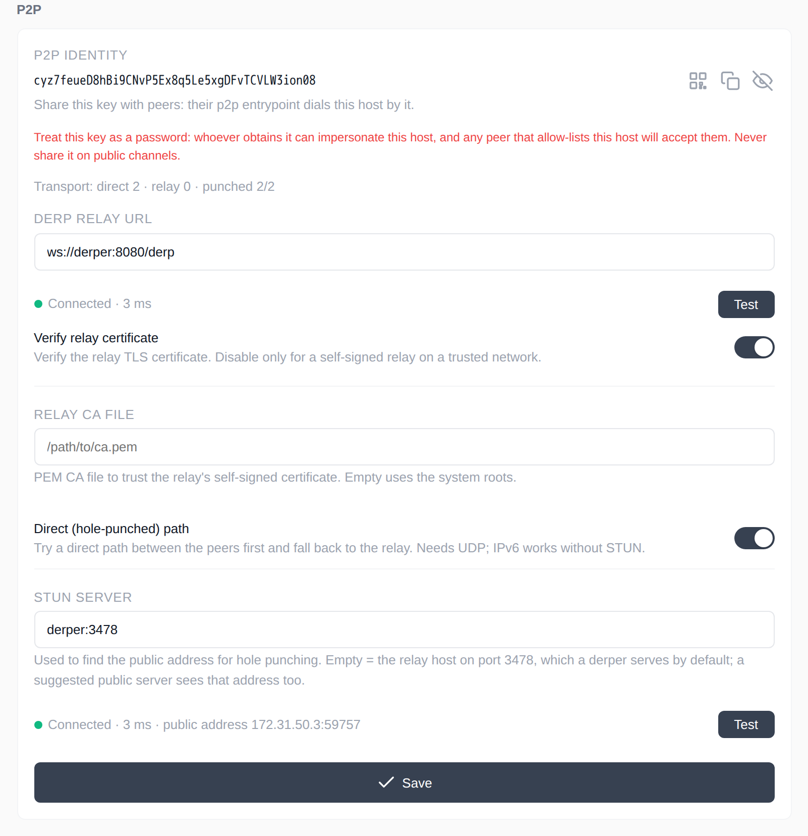 P2P settings: identity, DERP, direct path, and STUN
